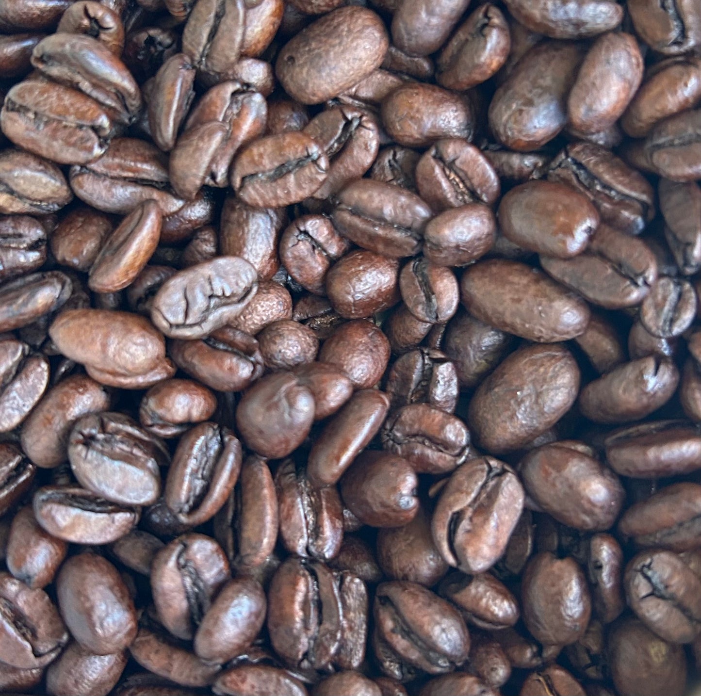 Kuzushi Medium Roast-Whole Bean